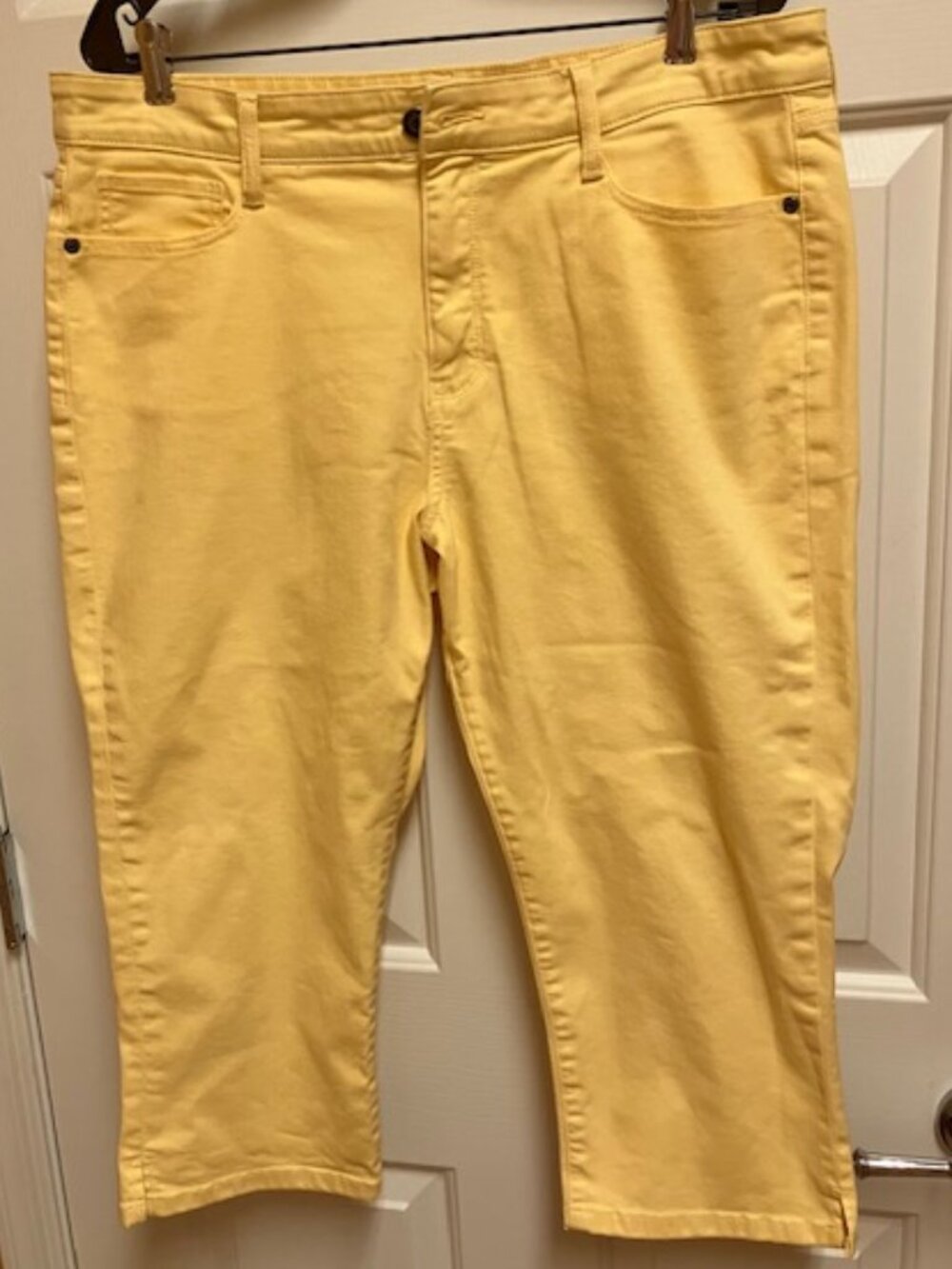 St Johns Bay Capris